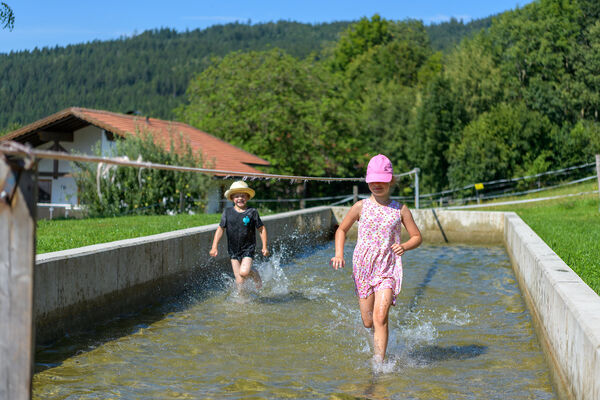 Erlebnisspielplatz für die kleinen Gäste vom Berghof Kopp Erlebnisspielplatz auf dem Berghof Kopp
